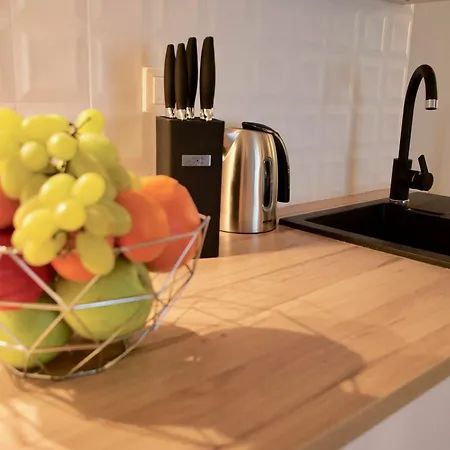 Vistula Boutique Exclusive Διαμέρισμα Krasków