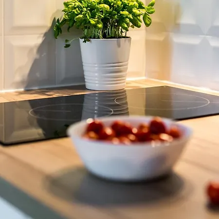 Vistula Boutique Exclusive Apartment Krakow